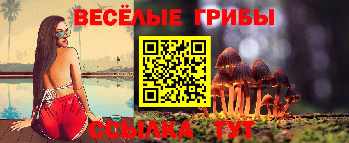 Псилоцибиновые грибы GOLDEN TEACHER  Вход с VPN  Саяногорск 